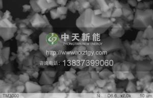 龙8(中国)唯一官方网站_项目1310